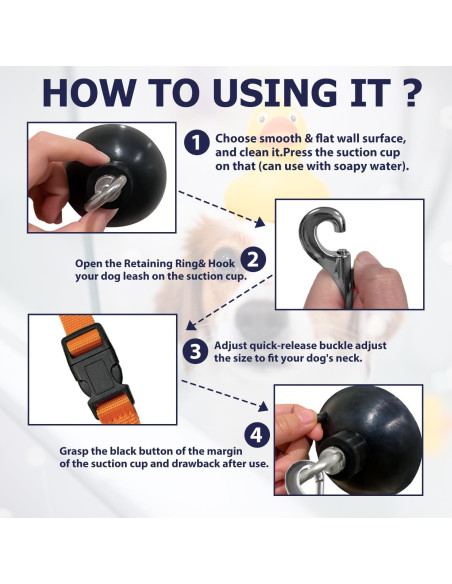 Correa de Baño para Perros Periflowin con Ventosa Fuerte Correa de Baño para Perros Periflowin con Ventosa Fuerte