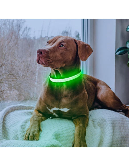 Collar de Perro LED Yuansen Verde Neón Pequeño Recargable Collar de Perro LED Yuansen Verde Neón Pequeño Recargable