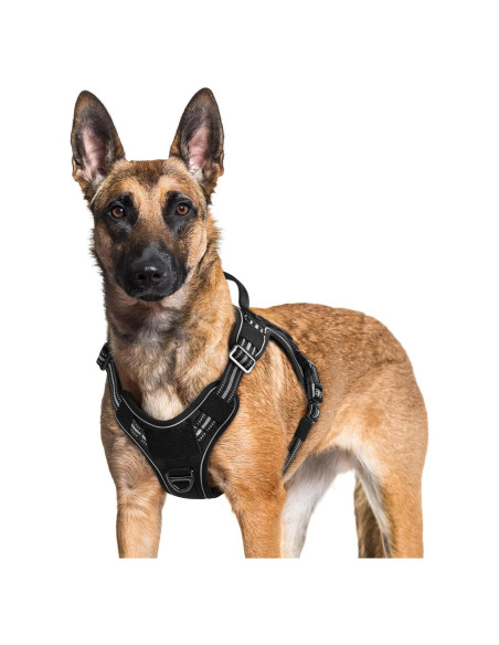 Arnés para Perros Rabbitgoo XL Negro Ajustable y Reflectante Arnés para Perros Rabbitgoo XL Negro Ajustable y Reflectante
