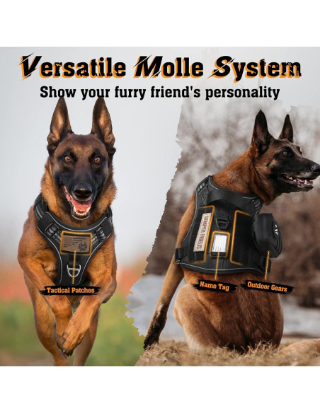 Arnés para Perros Rabbitgoo XL Negro Ajustable y Reflectante Arnés para Perros Rabbitgoo XL Negro Ajustable y Reflectante
