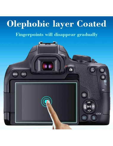 Protector de Pantalla LCD y Cubierta de Zapata Fría BTER para Canon EOS Rebel T8I
