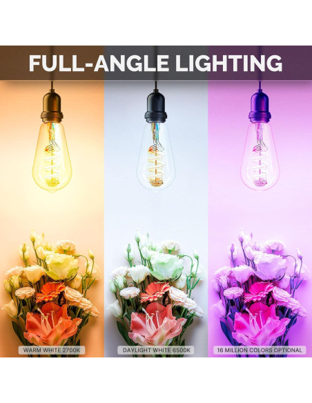 Bombillas LED Inteligentes MOES ST64 WiFi 2 Paquete RGB 5W Bombillas LED Inteligentes MOES ST64 WiFi 2 Paquete RGB 5W