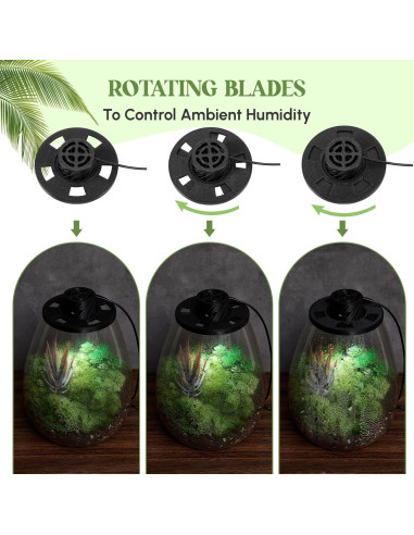 Terrario de Vidrio Maxdot con Luz LED para Suculentas 19.8 cm