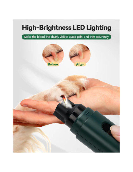 Amoladora de Uñas Eléctrica Weini F12 Verde 5 Velocidades Amoladora de Uñas Eléctrica Weini F12 Verde 5 Velocidades