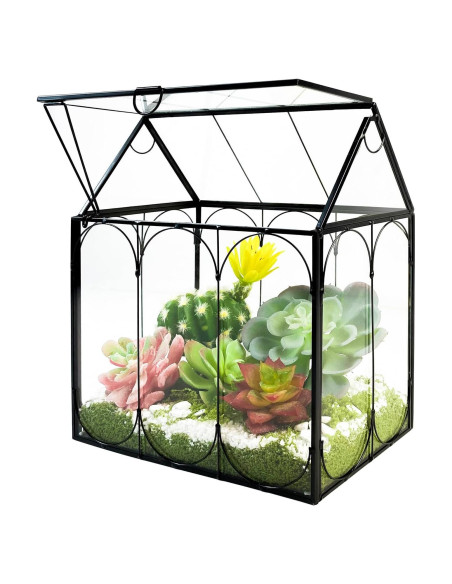 Terrario de Plantas de Vidrio RIFNY 18x12x22 cm con Tapa Terrario de Plantas de Vidrio RIFNY 18x12x22 cm con Tapa