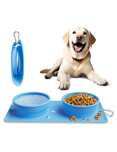 Cuenco Plegable 2-en-1 LPFLASAT para Perros y Gatos - Silicona Antideslizante