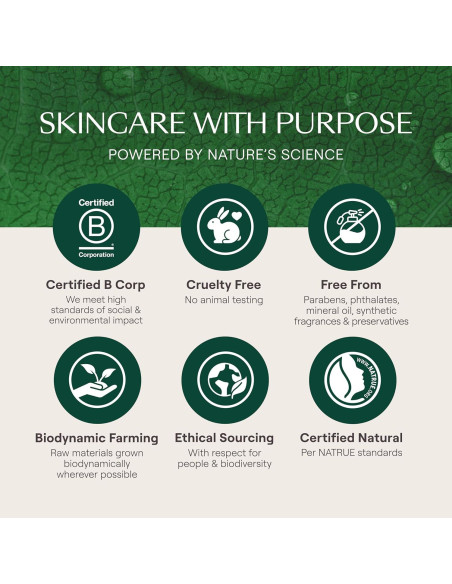 Crema Corporal Nutritiva Weleda Skin Food 74.9 ml Hidratante Crema Corporal Nutritiva Weleda Skin Food 74.9 ml Hidratante