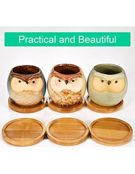 Bandejas de Bambú Frienda para Macetas de 6.4 cm - Paquete de 6 Bandejas de Bambú Frienda para Macetas de 6.4 cm - Paquete de 6