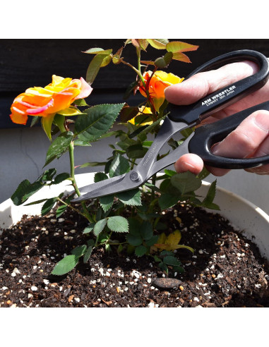 Tijeras de Jardín Curvadas Canary 16.5 cm Acero Inoxidable