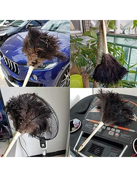 Plumero Ddzmz de Plumas Naturales de Avestruz 40.64 cm Plumero Ddzmz de Plumas Naturales de Avestruz 40.64 cm
