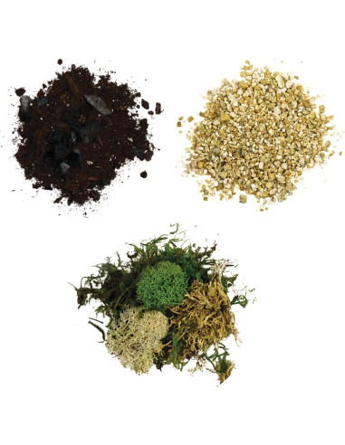 Kit de Terrario de Vidrio Cute Farms - 2 Cilindros 10.16 cm