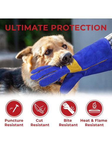 Guantes de Manejo de Animales HANDLANDY - Protección a Prueba de Mordeduras y Espinas - Talla Única 35.56 cm - Azul Real