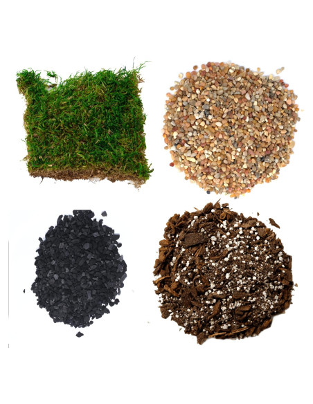 Kit de Terrario Suculentas TerraGreen - Tierra Premium 22cm Kit de Terrario Suculentas TerraGreen - Tierra Premium 22cm