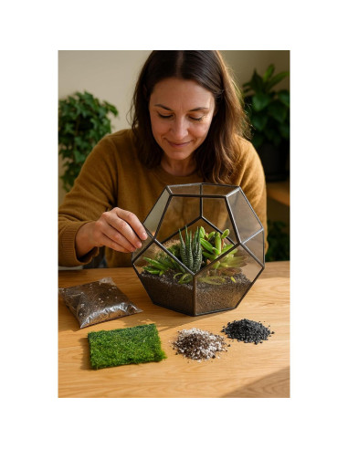 Kit de Terrario Suculentas TerraGreen - Tierra Premium 22cm