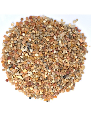 Kit de Terrario Suculentas TerraGreen - Tierra Premium 22cm