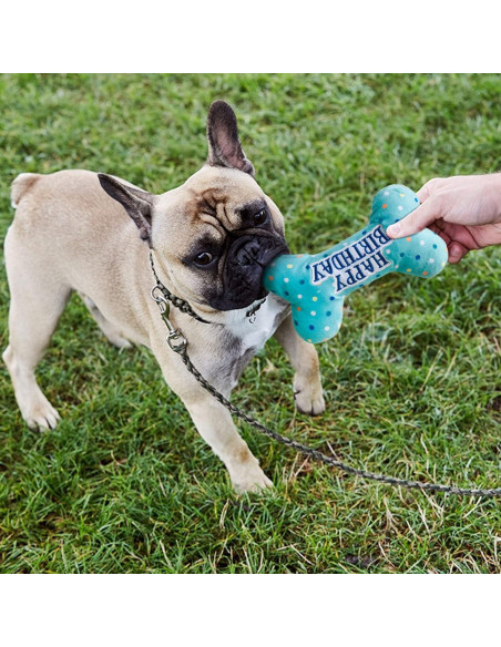 Juguetes de Cumpleaños para Perros Prime Pets - Set de 3 Juguetes de Cumpleaños para Perros Prime Pets - Set de 3