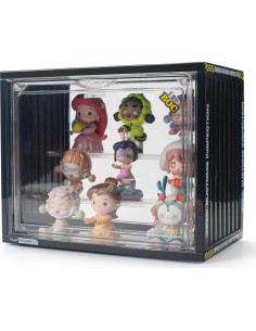 Caja de Exhibición Acrílica CESTATIVO 26.4x16cm con Puerta Magnética 2