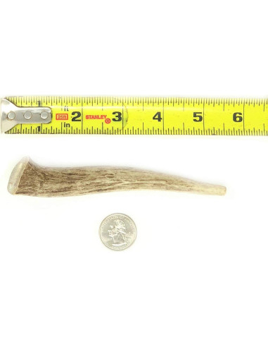 Juguete Masticable Natural para Perros Pequeños - Natural Dakota