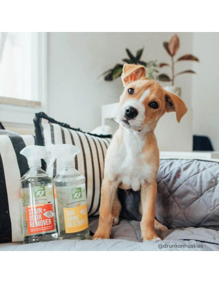 Eliminador de Manchas y Olores para Perros Solo Natural 1L Eliminador de Manchas y Olores para Perros Solo Natural 1L