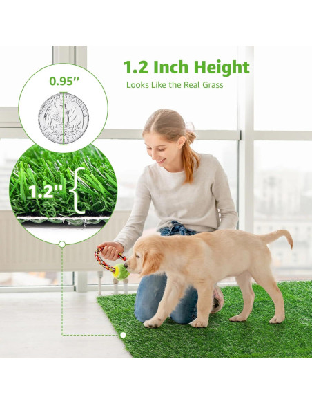 Alfombrilla de Césped Artificial para Perros PICK FOR LIFE 50x63 cm Alfombrilla de Césped Artificial para Perros PICK FOR LIFE 50x63 cm