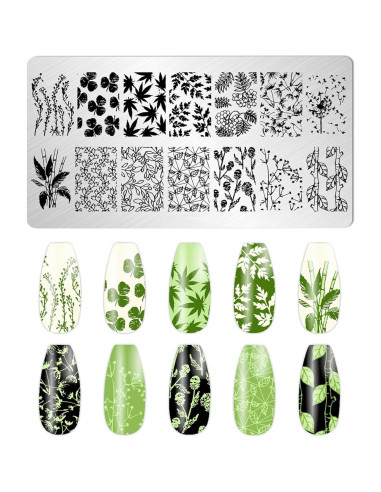 Kit de Estampado de Uñas JCAKES 5 Piezas Hoja de Arce