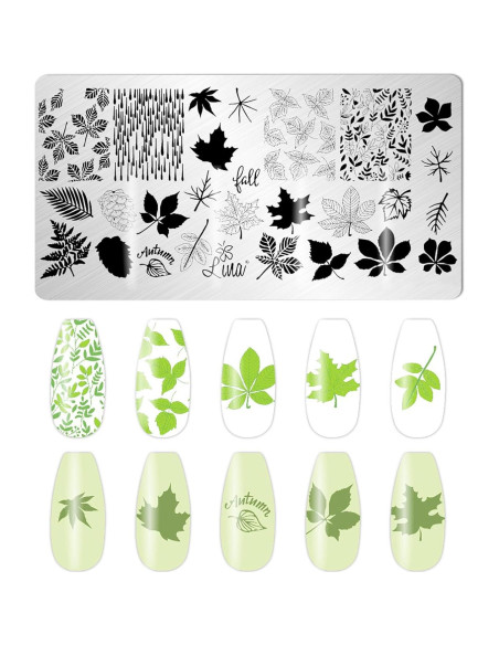 Kit de Estampado de Uñas JCAKES 5 Piezas Hoja de Arce Kit de Estampado de Uñas JCAKES 5 Piezas Hoja de Arce