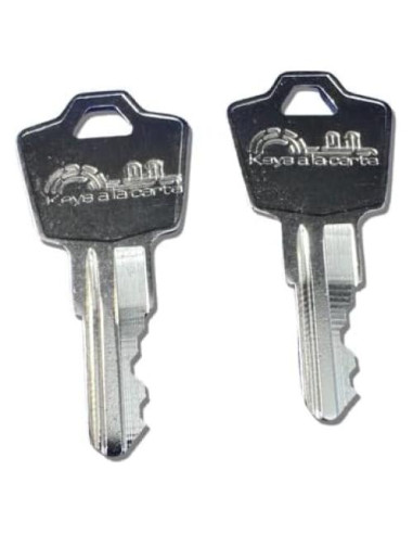 Llave de Reemplazo SentrySafe KEYSALACARTE Código H 1531