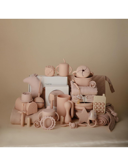 Chupete de Alimentación de Silicona Mushie Rosa 6 Meses+ Chupete de Alimentación de Silicona Mushie Rosa 6 Meses+