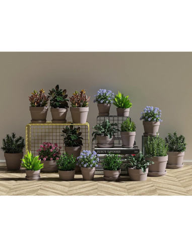 36 Macetas Mini Grises de Terracota Fcacti 5.08 cm con Drenaje