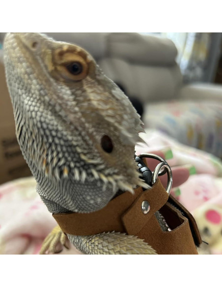 Juego de Arnés y Correa Ajustable KEECAO para Dragón Barbudo Juego de Arnés y Correa Ajustable KEECAO para Dragón Barbudo