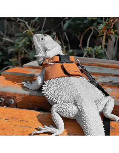Juego de Arnés y Correa Ajustable KEECAO para Dragón Barbudo
