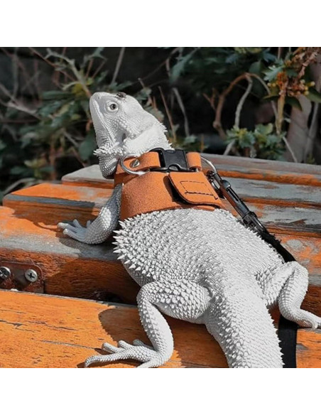 Juego de Arnés y Correa Ajustable KEECAO para Dragón Barbudo Juego de Arnés y Correa Ajustable KEECAO para Dragón Barbudo