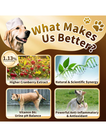 Gotas Herbales para UTI en Perros POPPAW 59ml Sabor Tocino Gotas Herbales para UTI en Perros POPPAW 59ml Sabor Tocino