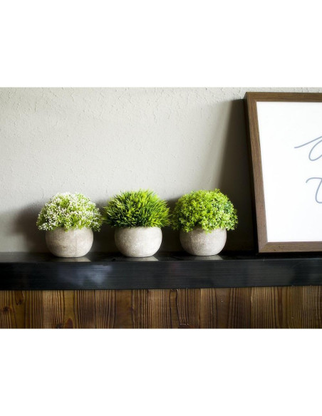 Set de 3 Plantas Artificiales OPPS en Maceta Gris 11.9 cm Set de 3 Plantas Artificiales OPPS en Maceta Gris 11.9 cm