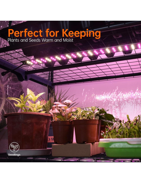 Invernadero Interior Bstrip 4 Niveles 68x49x157 cm con Luz LED Invernadero Interior Bstrip 4 Niveles 68x49x157 cm con Luz LED