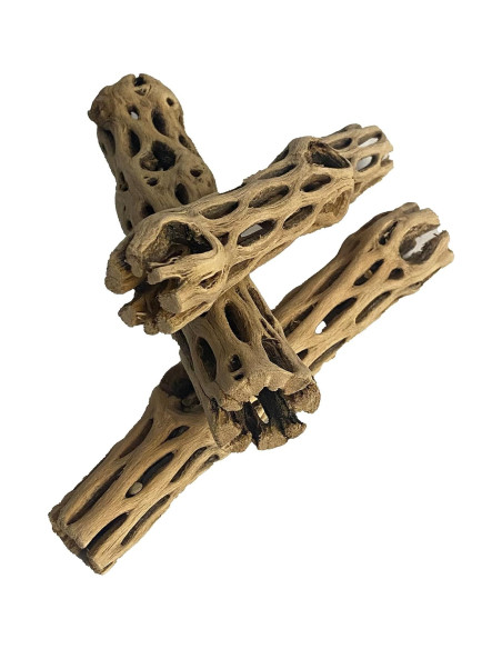 Madera Cholla Natural 3 Piezas 15 cm Increíble Acuático Madera Cholla Natural 3 Piezas 15 cm Increíble Acuático