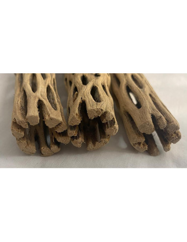 Madera Cholla Natural 3 Piezas 15 cm Increíble Acuático