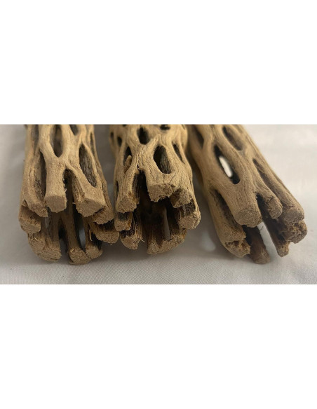 Madera Cholla Natural 3 Piezas 15 cm Increíble Acuático Madera Cholla Natural 3 Piezas 15 cm Increíble Acuático