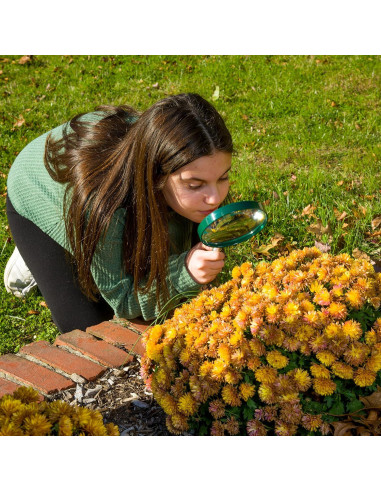 Lupa BigEye Carson HU-20AMMU Juego de 10 Lentes 12.7 cm 2x