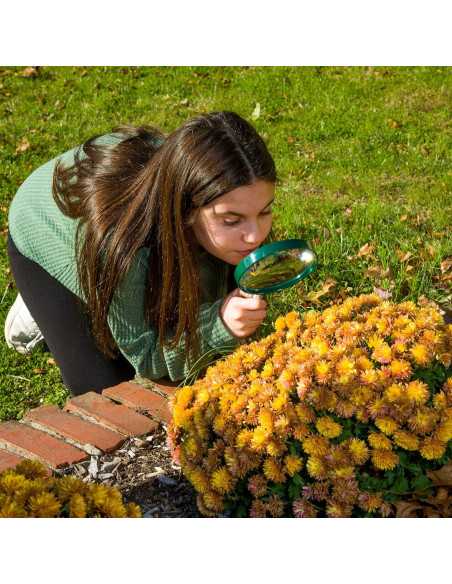 Lupa BigEye Carson HU-20AMMU Juego de 10 Lentes 12.7 cm 2x Lupa BigEye Carson HU-20AMMU Juego de 10 Lentes 12.7 cm 2x