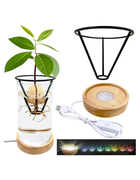 Jarrón de Aguacate YjiaYjiaY con Luz LED Multicolor y Soporte Jarrón de Aguacate YjiaYjiaY con Luz LED Multicolor y Soporte