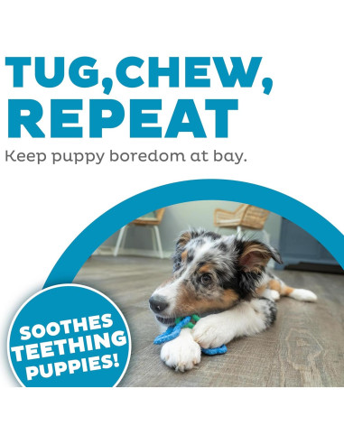Juguete de Masticar para Perros Outward Hound Bone Tugz Azul