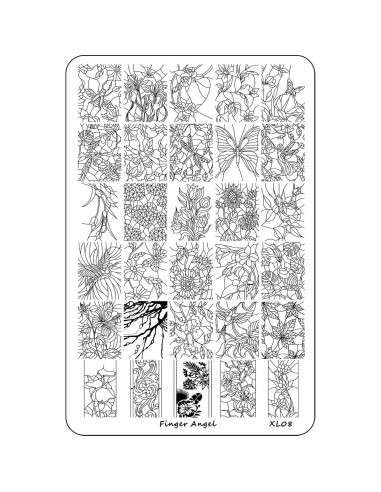 4 Placas de Estampado de Uñas XL HaiQiang con Organizador