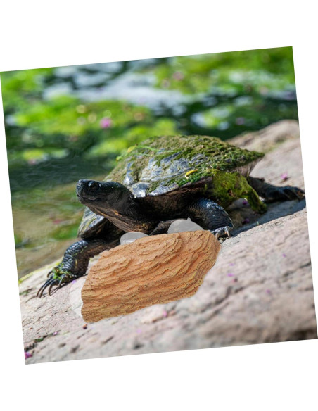 Plataforma de Solarium para Tortugas POPETPOP 22x13cm Plataforma de Solarium para Tortugas POPETPOP 22x13cm
