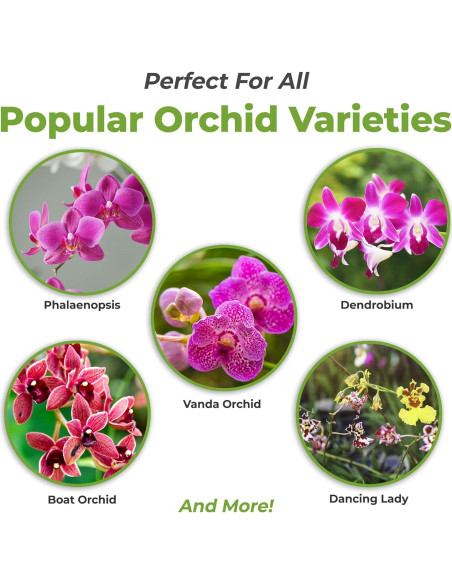 Fertilizante Líquido para Orquídeas Perfect Plants 236ml - Alimento NPK Fertilizante Líquido para Orquídeas Perfect Plants 236ml - Alimento NPK