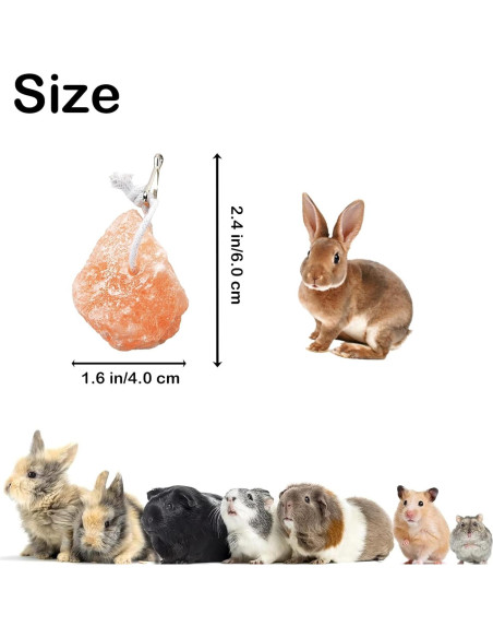 Bloques de Sal Himalayo para Conejos PINVNBY - 4 Piezas Bloques de Sal Himalayo para Conejos PINVNBY - 4 Piezas