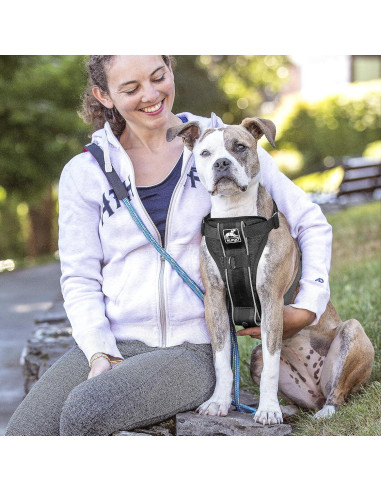 Arnés para Perros Kurgo Tru-Fit Smart Pequeño Negro