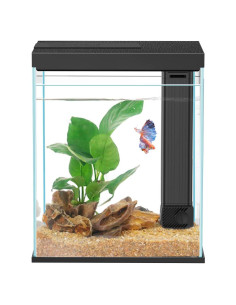 Acuario de vidrio 2 galones Pronetcus para peces Betta negro
