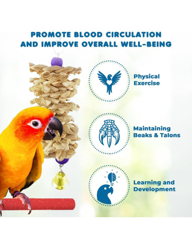 Paquete de 12 artículos para aves SunGrow - Columpios y perchas