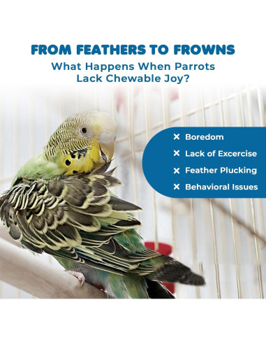 Paquete de 12 artículos para aves SunGrow - Columpios y perchas